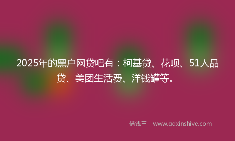 2025年的黑户网贷吧有：柯基贷、花呗、51人品贷、美团生活费、洋钱罐等。