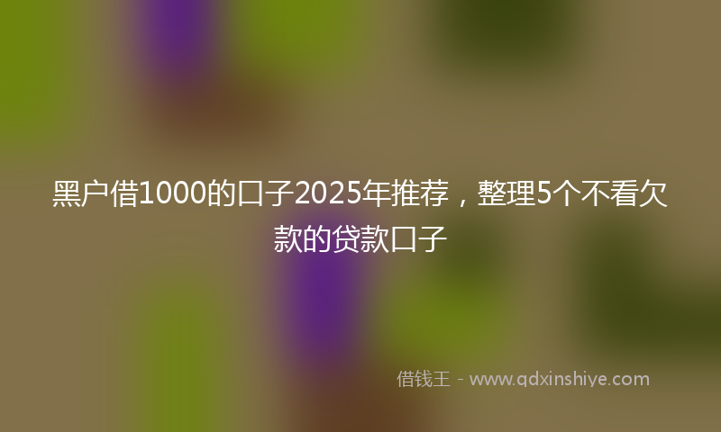 黑户借1000的口子2025年推荐，整理5个不看欠款的贷款口子