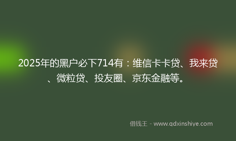 2025年的黑户必下714有：维信卡卡贷、我来贷、微粒贷、投友圈、京东金融等。