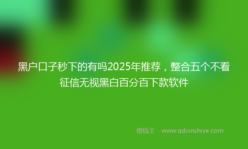 黑户口子秒下的有吗2025年推荐，整合五个不看征信无视黑白百分百下款软件