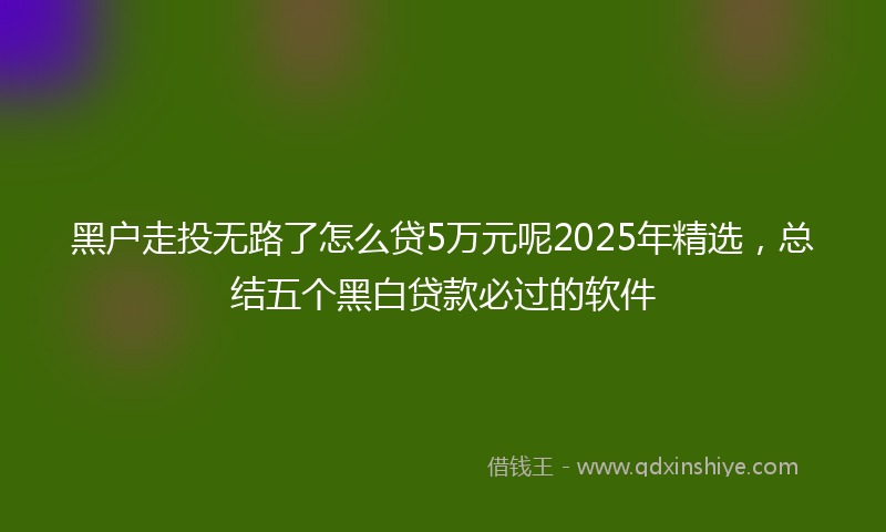 黑户走投无路了怎么贷5万元呢2025年精选，总结五个黑白贷款必过的软件