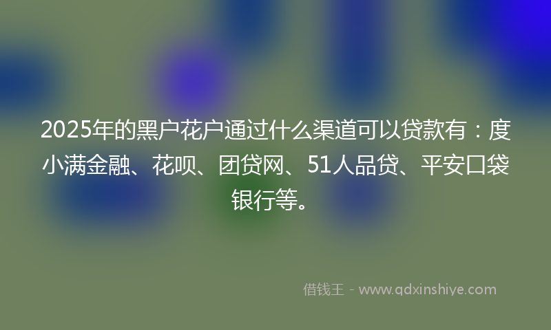 2025年的黑户花户通过什么渠道可以贷款有：度小满金融、花呗、团贷网、51人品贷、平安口袋银行等。