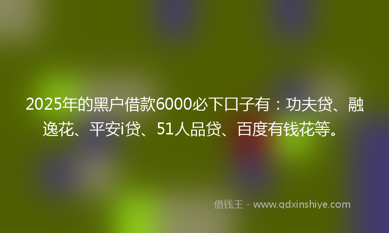 2025年的黑户借款6000必下口子有：功夫贷、融逸花、平安i贷、51人品贷、百度有钱花等。