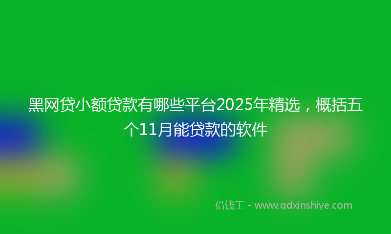 黑网贷小额贷款有哪些平台2025年精选，概括五个11月能贷款的软件
