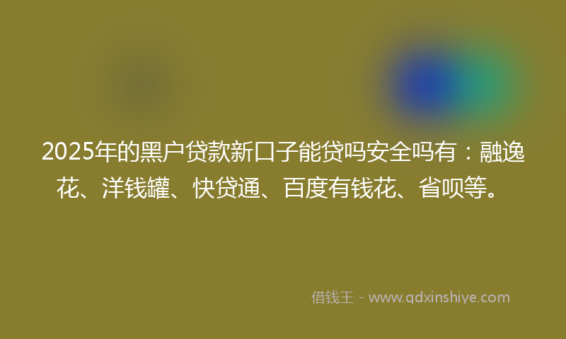 2025年的黑户贷款新口子能贷吗安全吗有：融逸花、洋钱罐、快贷通、百度有钱花、省呗等。
