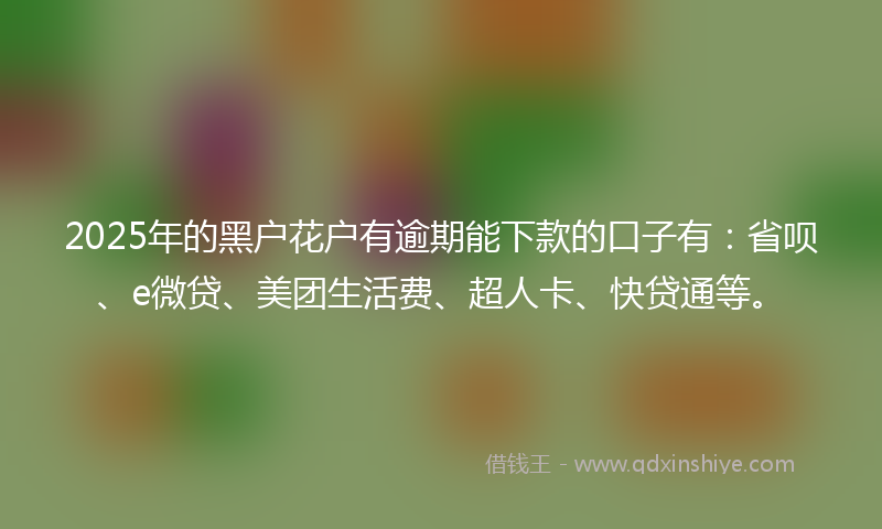 2025年的黑户花户有逾期能下款的口子有：省呗、e微贷、美团生活费、超人卡、快贷通等。
