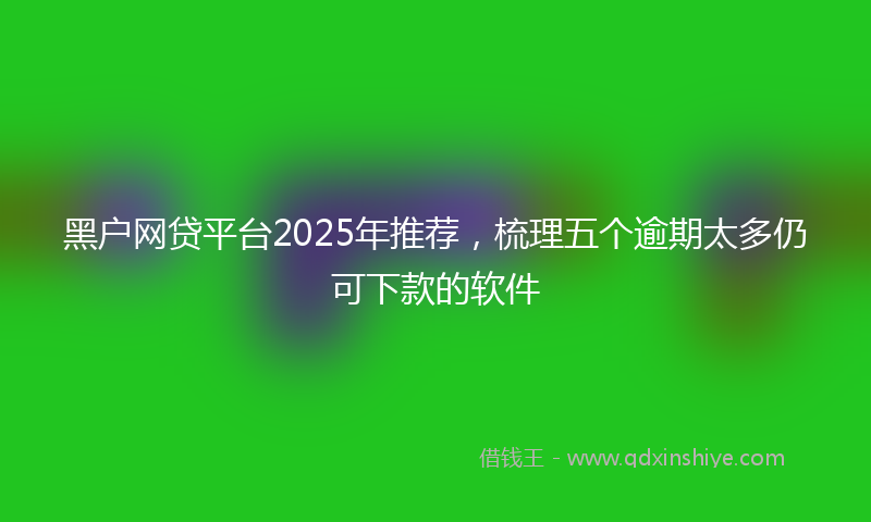 黑户网贷平台2025年推荐，梳理五个逾期太多仍可下款的软件