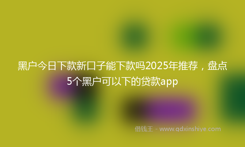 黑户今日下款新口子能下款吗2025年推荐，盘点5个黑户可以下的贷款app