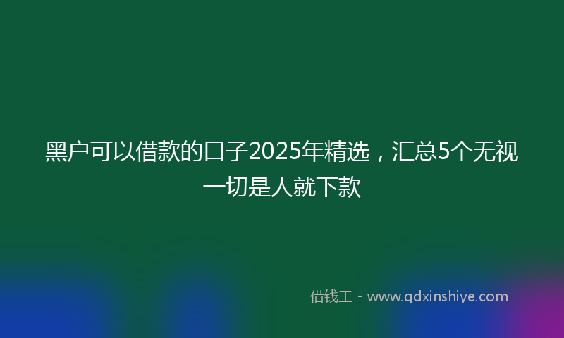 黑户可以借款的口子2025年精选，汇总5个无视一切是人就下款