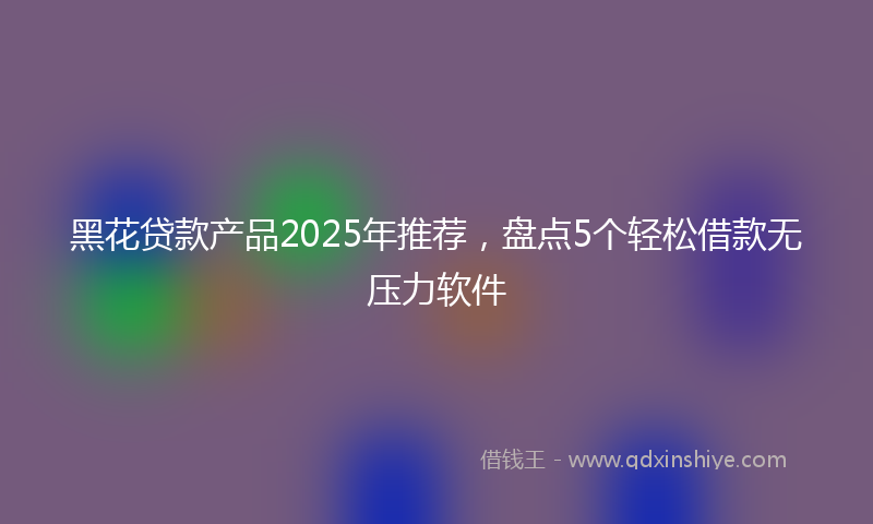黑花贷款产品2025年推荐，盘点5个轻松借款无压力软件
