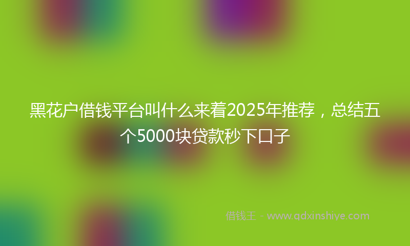 黑花户借钱平台叫什么来着2025年推荐，总结五个5000块贷款秒下口子