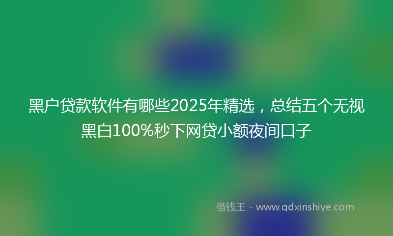 黑户贷款软件有哪些2025年精选，总结五个无视黑白100%秒下网贷小额夜间口子