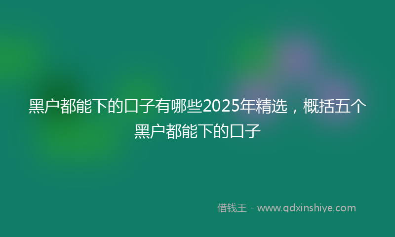 黑户都能下的口子有哪些2025年精选，概括五个黑户都能下的口子
