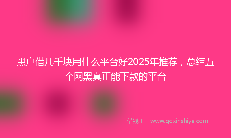 黑户借几千块用什么平台好2025年推荐，总结五个网黑真正能下款的平台
