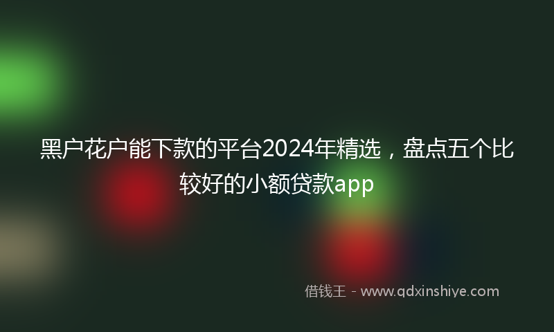 黑户花户能下款的平台2024年精选，盘点五个比较好的小额贷款app