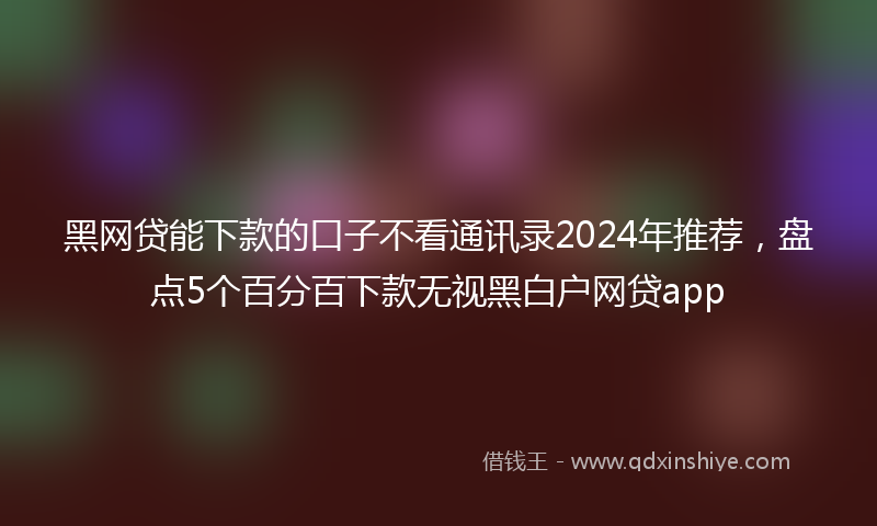 黑网贷能下款的口子不看通讯录2024年推荐，盘点5个百分百下款无视黑白户网贷app