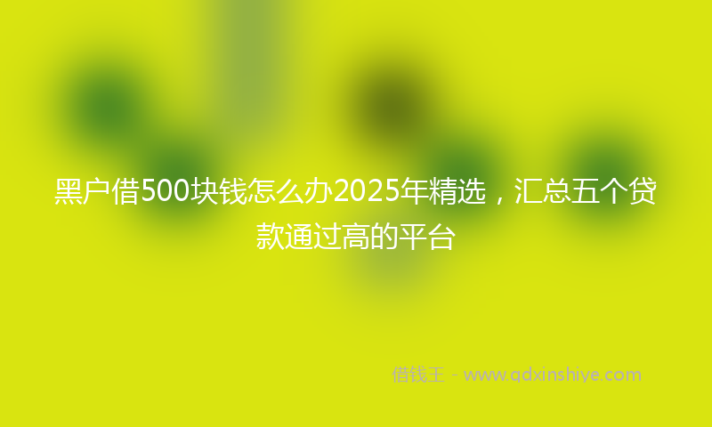 黑户借500块钱怎么办2025年精选，汇总五个贷款通过高的平台