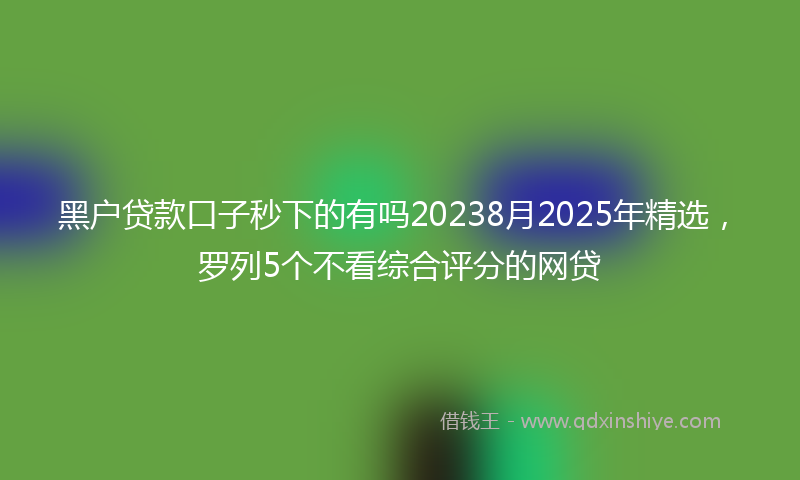 黑户贷款口子秒下的有吗20238月2025年精选，罗列5个不看综合评分的网贷