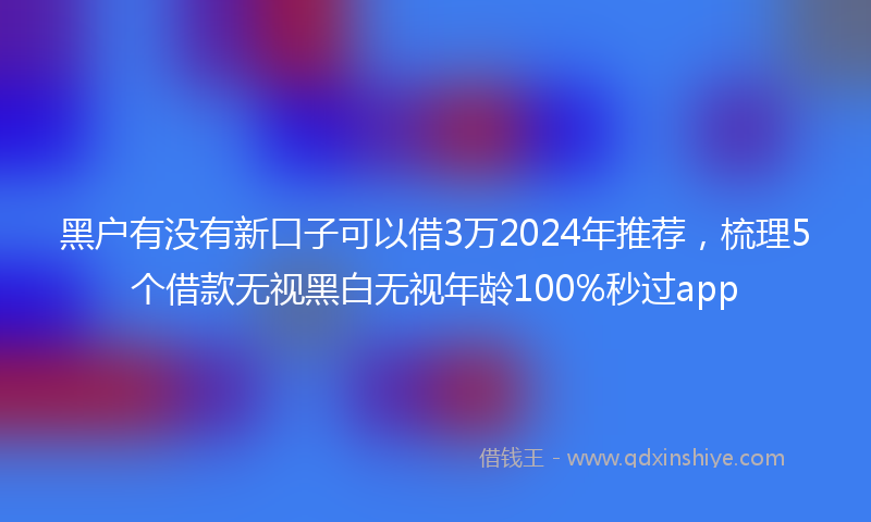 黑户有没有新口子可以借3万2024年推荐，梳理5个借款无视黑白无视年龄100%秒过app