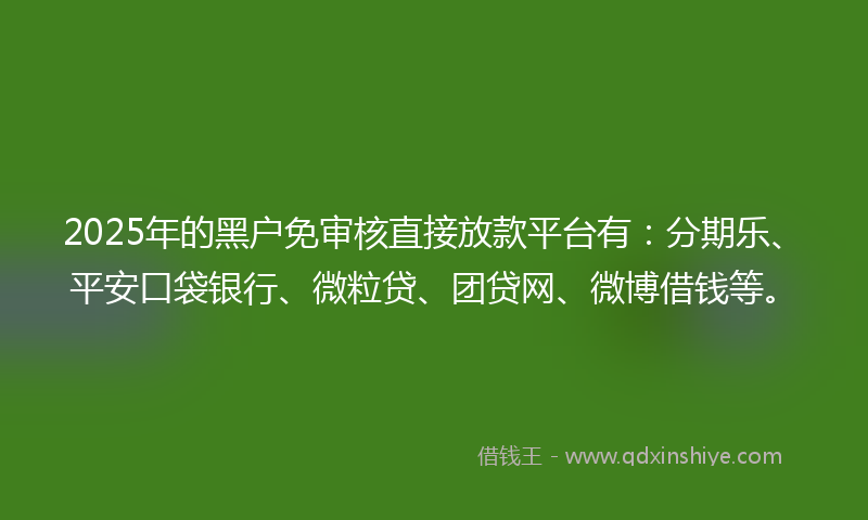 2025年的黑户免审核直接放款平台有：分期乐、平安口袋银行、微粒贷、团贷网、微博借钱等。