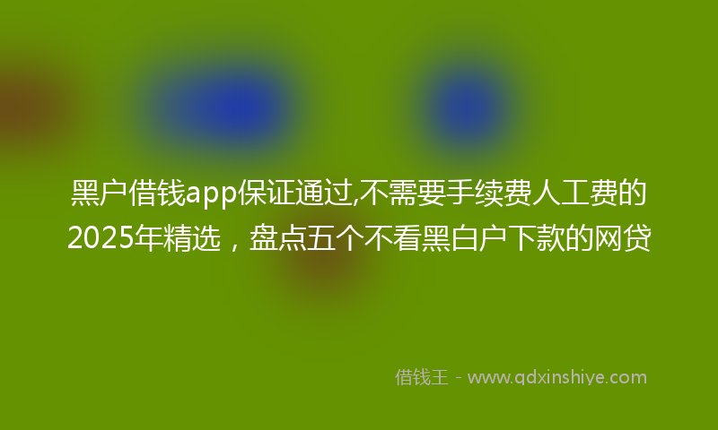 黑户借钱app保证通过,不需要手续费人工费的2025年精选，盘点五个不看黑白户下款的网贷