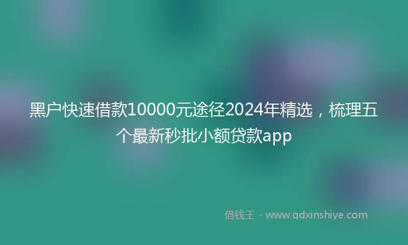 黑户快速借款10000元途径2024年精选，梳理五个最新秒批小额贷款app