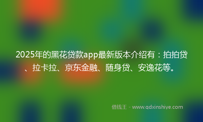 2025年的黑花贷款app最新版本介绍有：拍拍贷、拉卡拉、京东金融、随身贷、安逸花等。