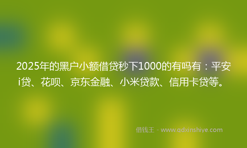 2025年的黑户小额借贷秒下1000的有吗有：平安i贷、花呗、京东金融、小米贷款、信用卡贷等。