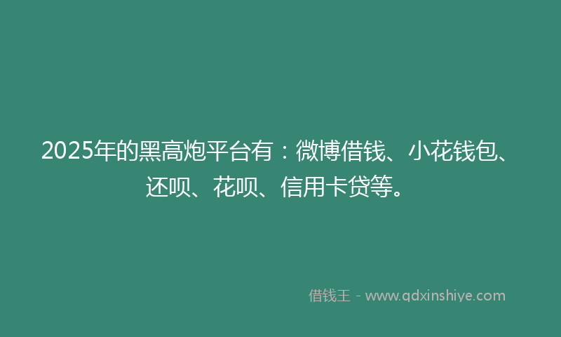 2025年的黑高炮平台有：微博借钱、小花钱包、还呗、花呗、信用卡贷等。