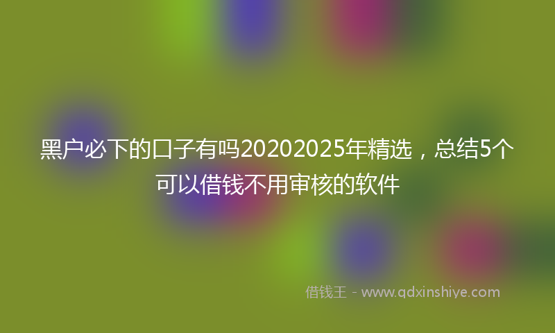 黑户必下的口子有吗20202025年精选，总结5个可以借钱不用审核的软件