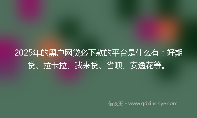 2025年的黑户网贷必下款的平台是什么有：好期贷、拉卡拉、我来贷、省呗、安逸花等。