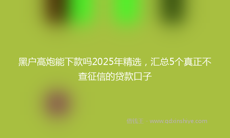 黑户高炮能下款吗2025年精选，汇总5个真正不查征信的贷款口子