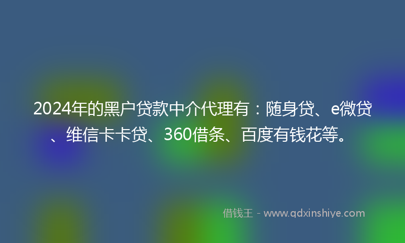 2024年的黑户贷款中介代理有：随身贷、e微贷、维信卡卡贷、360借条、百度有钱花等。