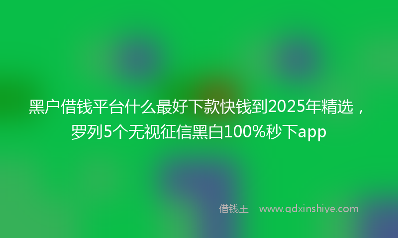 黑户借钱平台什么最好下款快钱到2025年精选，罗列5个无视征信黑白100%秒下app
