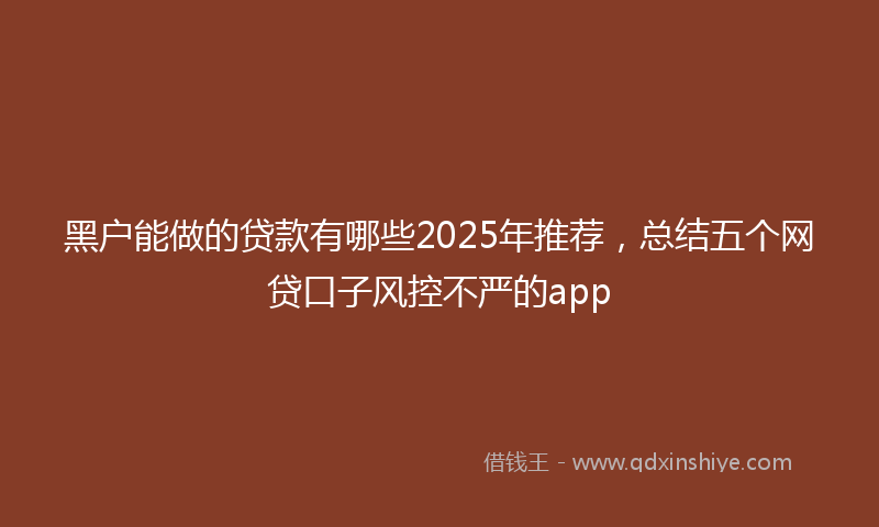 黑户能做的贷款有哪些2025年推荐，总结五个网贷口子风控不严的app