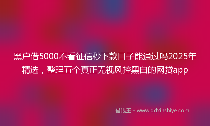 黑户借5000不看征信秒下款口子能通过吗2025年精选，整理五个真正无视风控黑白的网贷app