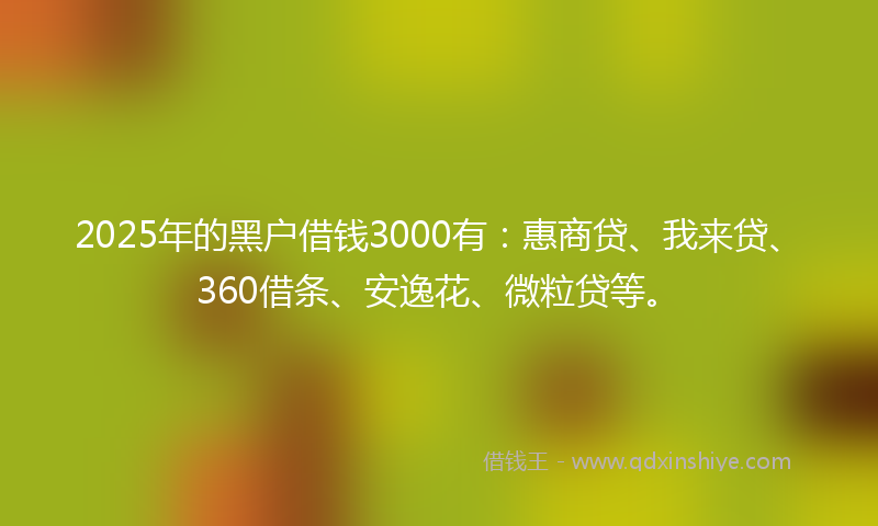 2025年的黑户借钱3000有：惠商贷、我来贷、360借条、安逸花、微粒贷等。