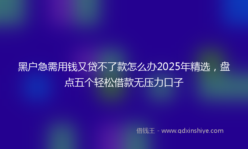 黑户急需用钱又贷不了款怎么办2025年精选，盘点五个轻松借款无压力口子