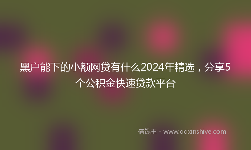 黑户能下的小额网贷有什么2024年精选，分享5个公积金快速贷款平台