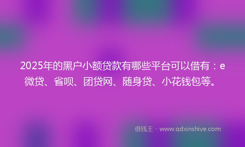 2025年的黑户小额贷款有哪些平台可以借有：e微贷、省呗、团贷网、随身贷、小花钱包等。
