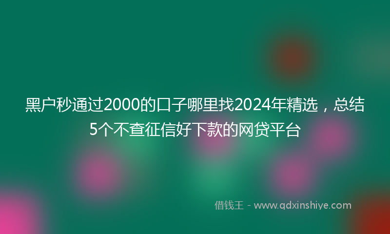 黑户秒通过2000的口子哪里找2024年精选，总结5个不查征信好下款的网贷平台