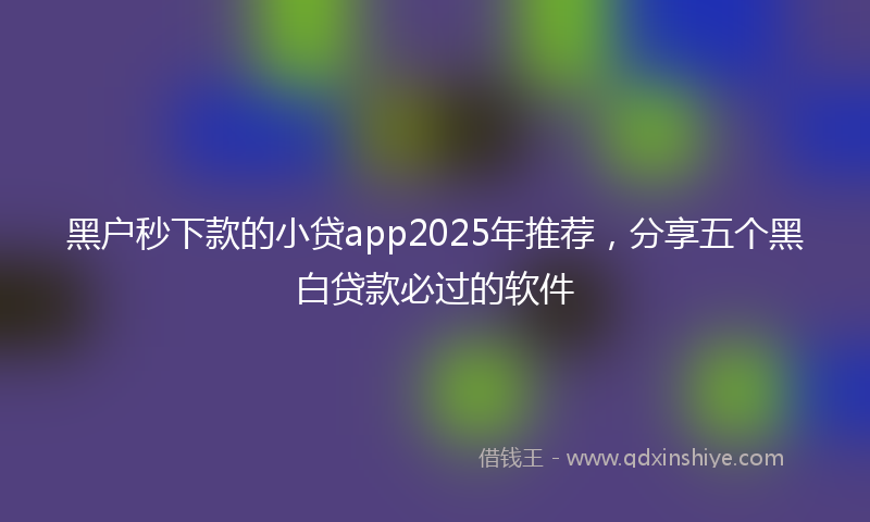 黑户秒下款的小贷app2025年推荐，分享五个黑白贷款必过的软件