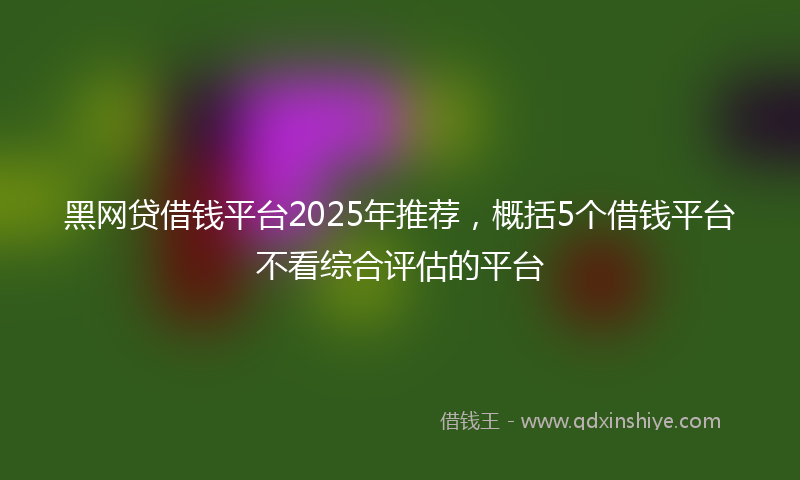黑网贷借钱平台2025年推荐，概括5个借钱平台不看综合评估的平台