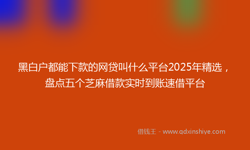 黑白户都能下款的网贷叫什么平台2025年精选，盘点五个芝麻借款实时到账速借平台