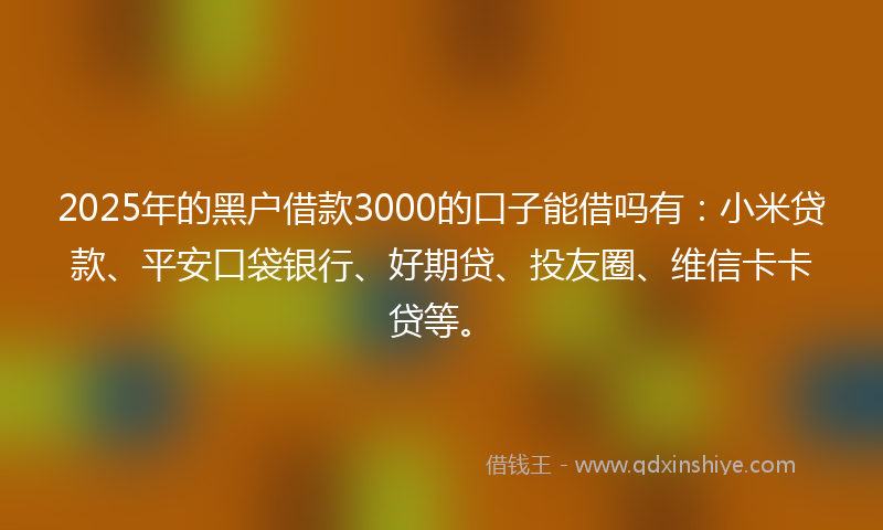 2025年的黑户借款3000的口子能借吗有：小米贷款、平安口袋银行、好期贷、投友圈、维信卡卡贷等。