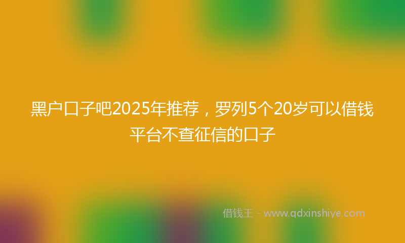 黑户口子吧2025年推荐，罗列5个20岁可以借钱平台不查征信的口子