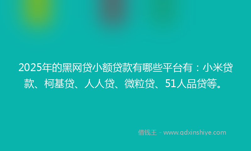 2025年的黑网贷小额贷款有哪些平台有：小米贷款、柯基贷、人人贷、微粒贷、51人品贷等。