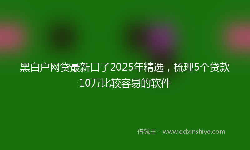 黑白户网贷最新口子2025年精选，梳理5个贷款10万比较容易的软件