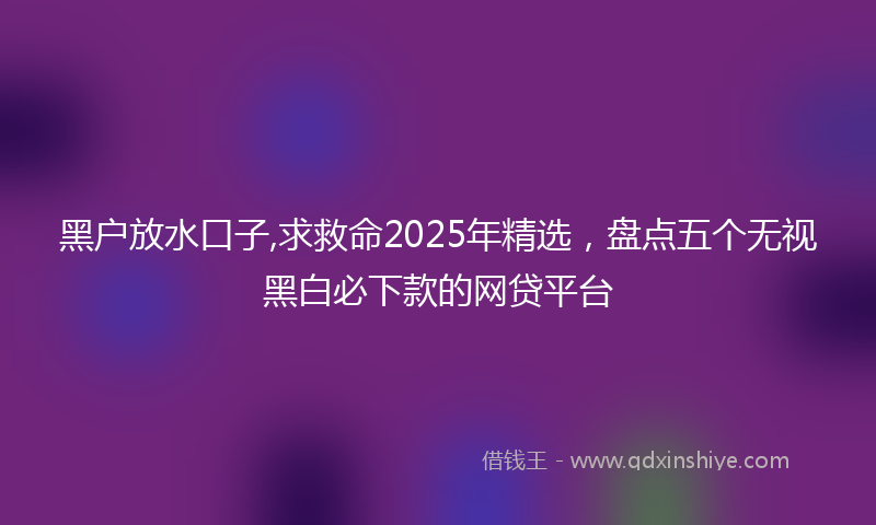 黑户放水口子,求救命2025年精选，盘点五个无视黑白必下款的网贷平台