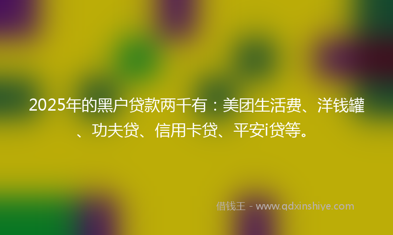 2025年的黑户贷款两千有：美团生活费、洋钱罐、功夫贷、信用卡贷、平安i贷等。